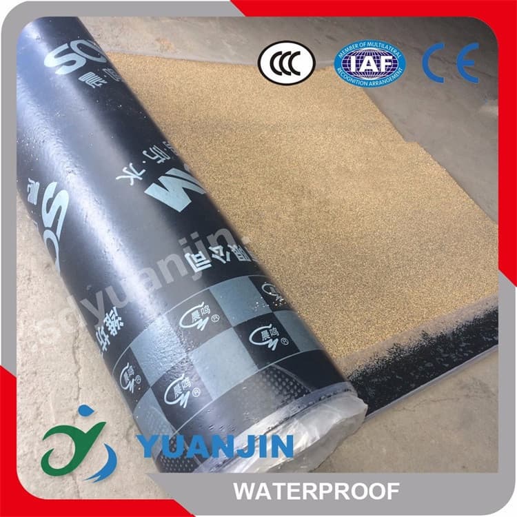3mm 4mm SBS_APP modified bitumen waterproof membrane